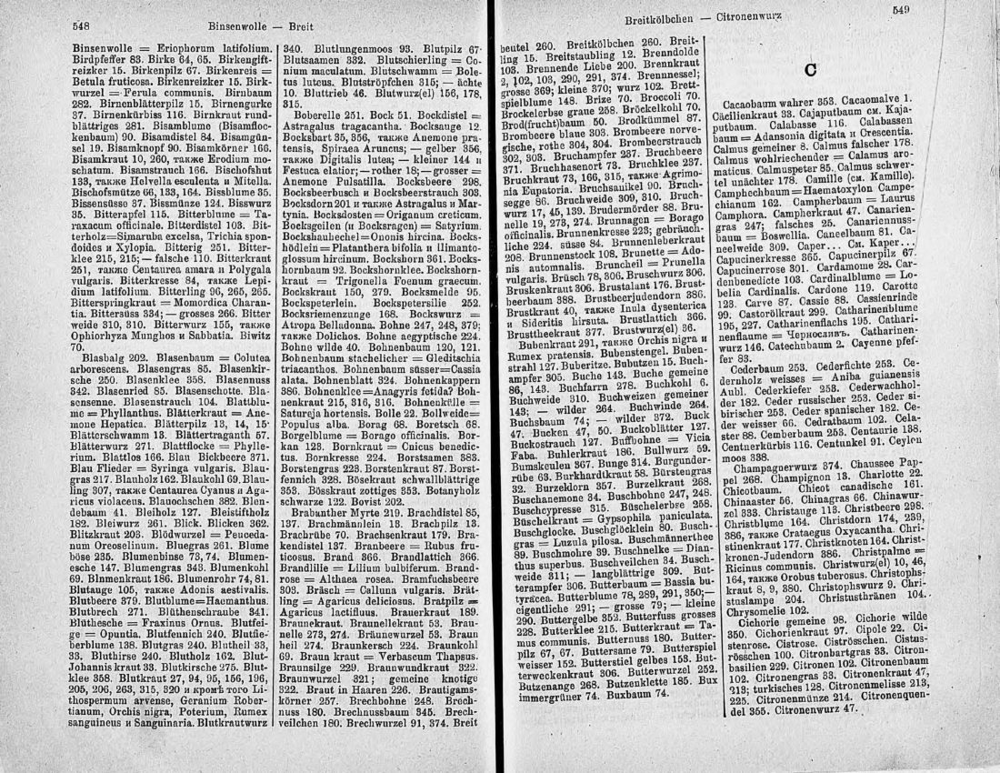 Скан страницы 289 книги «Ботанический Словарь»