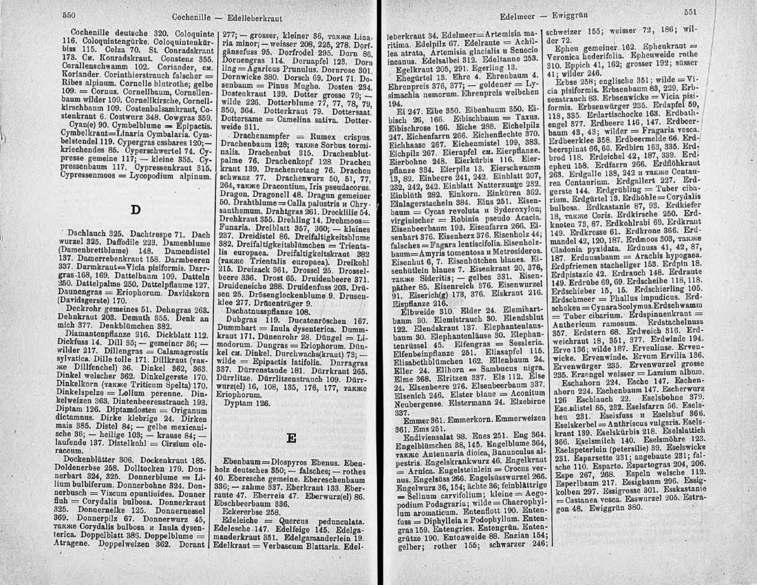 Скан страницы 290 книги «Ботанический Словарь»