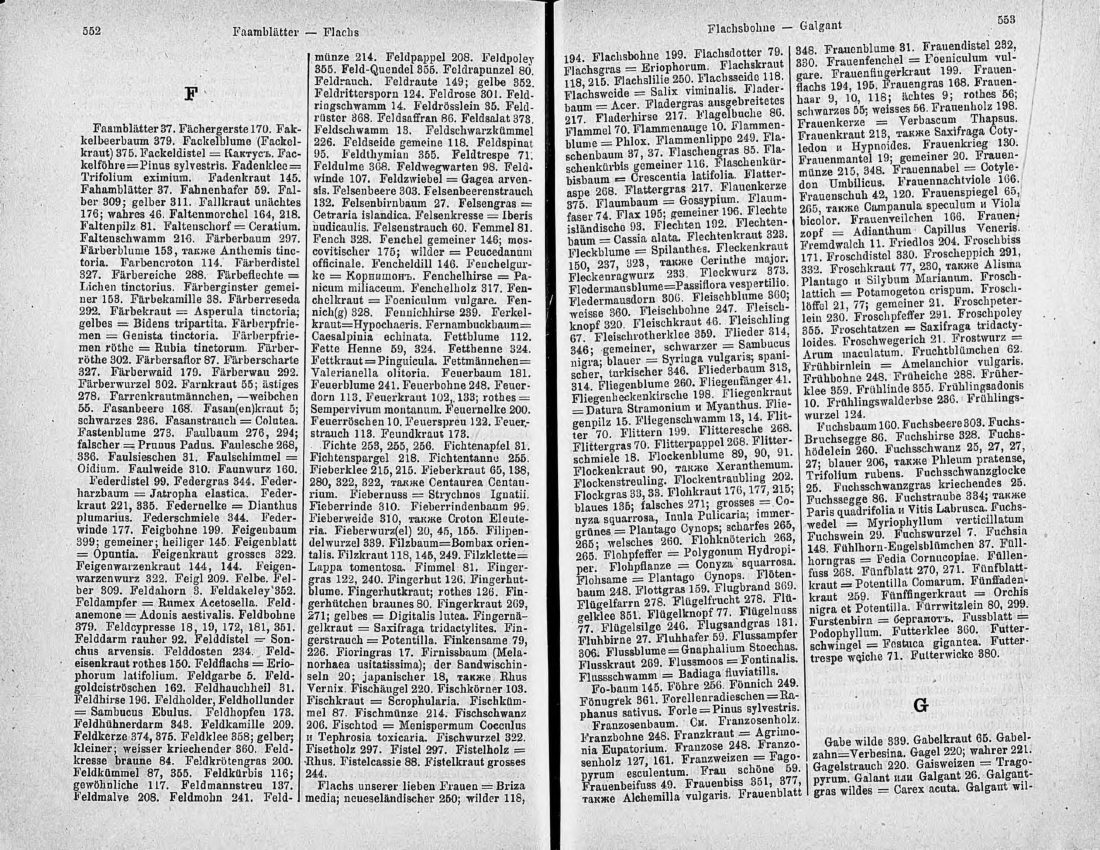 Скан страницы 291 книги «Ботанический Словарь»