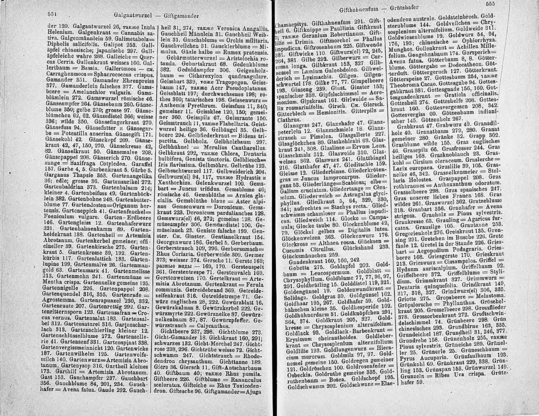 Скан страницы 292 книги «Ботанический Словарь»