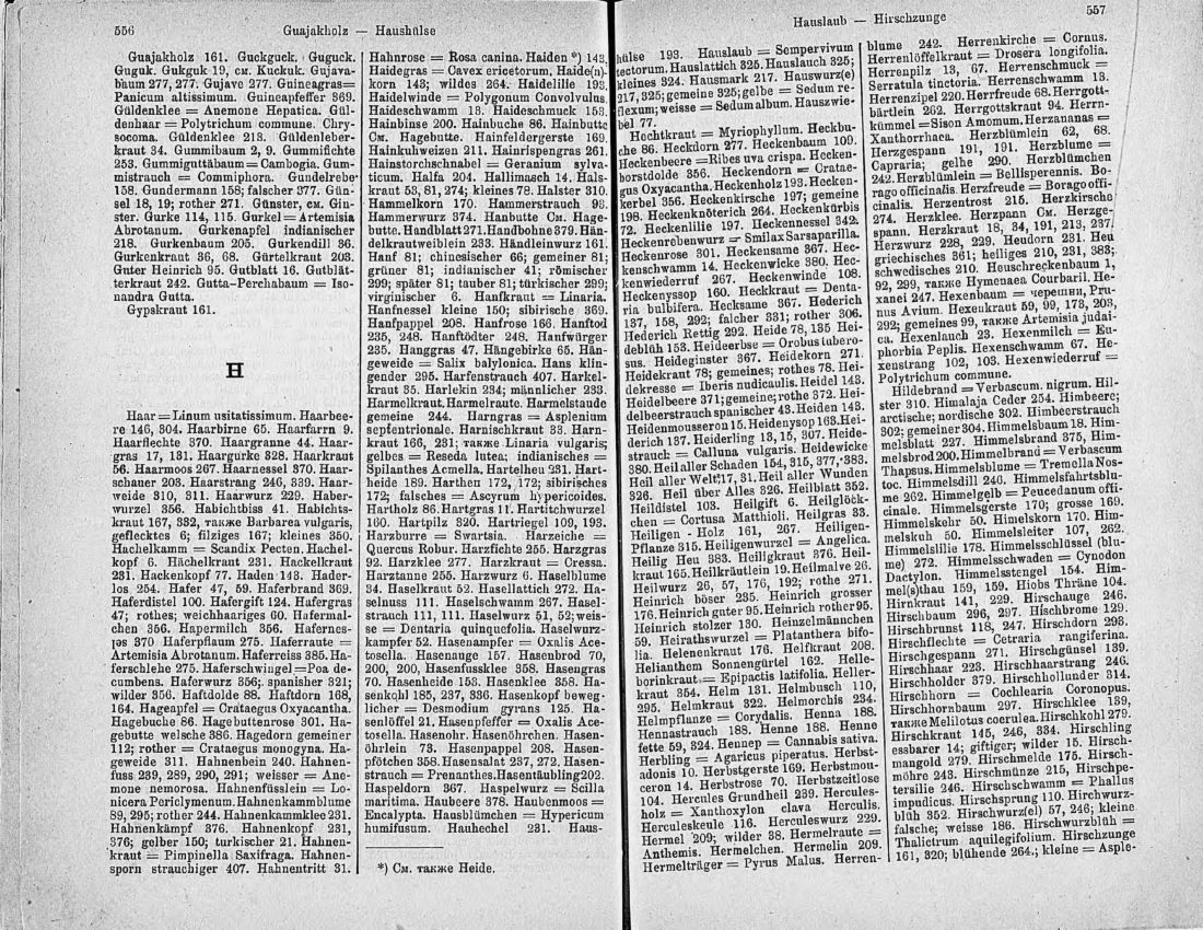 Скан страницы 293 книги «Ботанический Словарь»