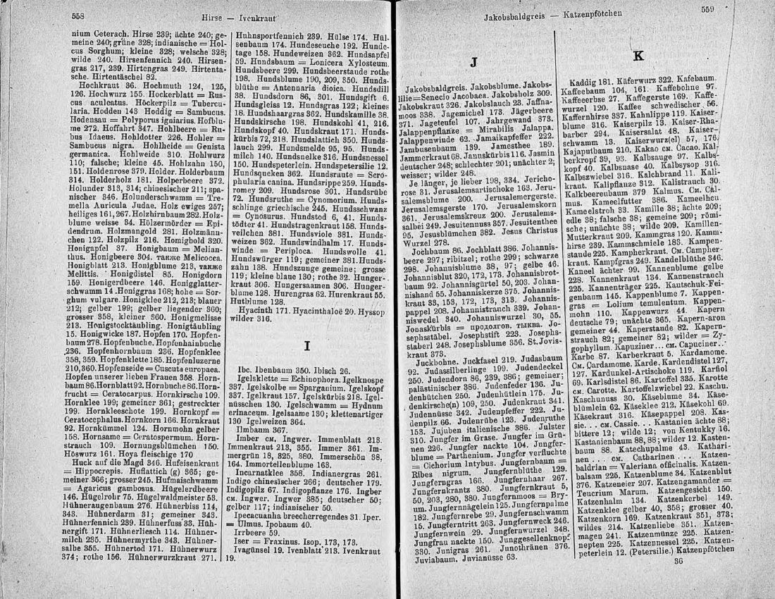 Скан страницы 294 книги «Ботанический Словарь»