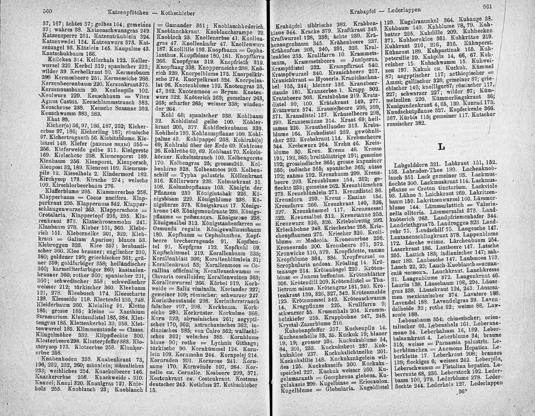 Скан страницы 295 книги «Ботанический Словарь»