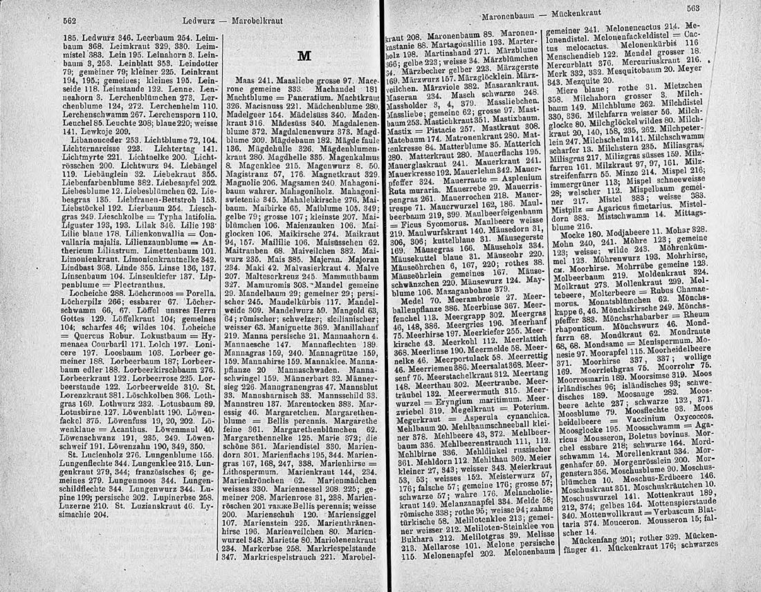 Скан страницы 296 книги «Ботанический Словарь»