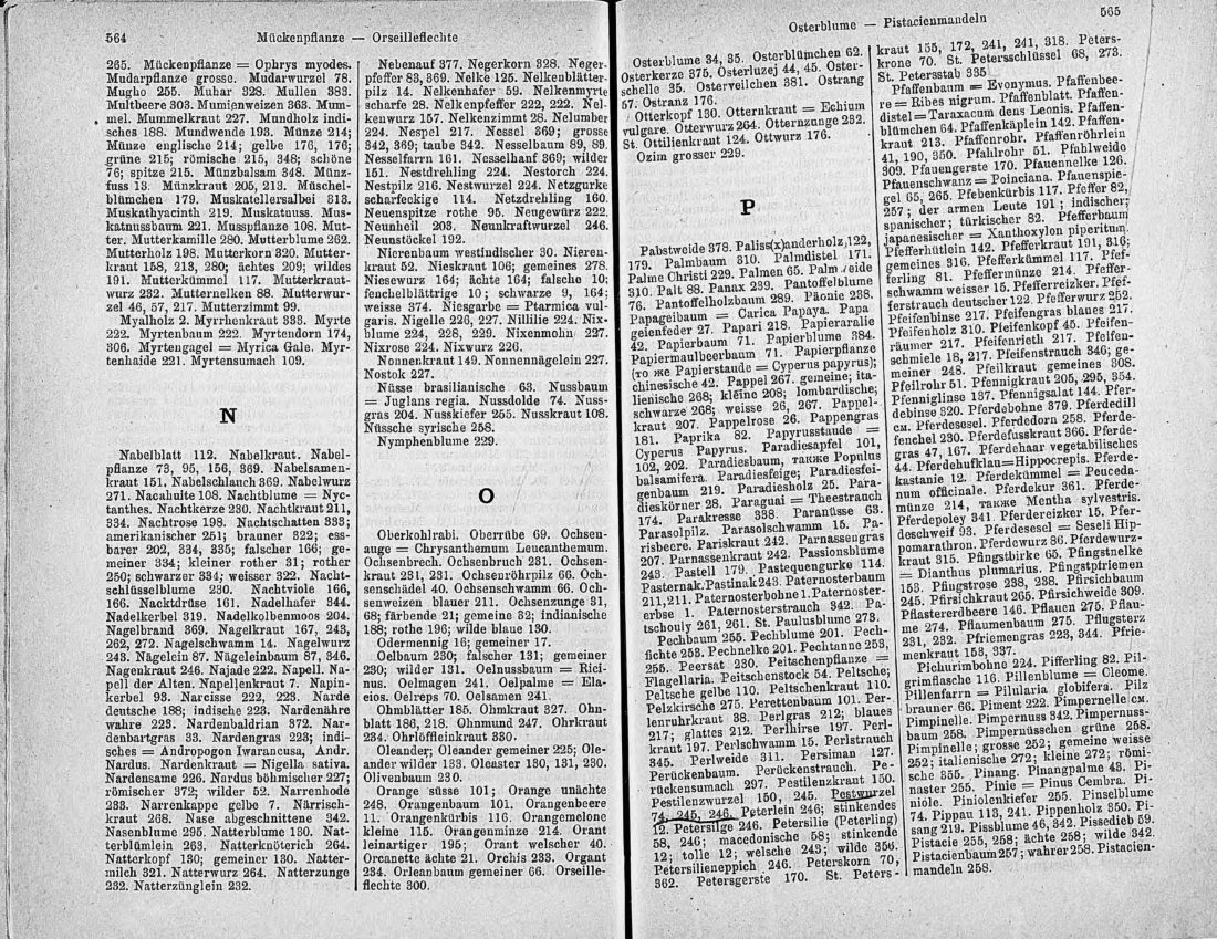 Скан страницы 297 книги «Ботанический Словарь»