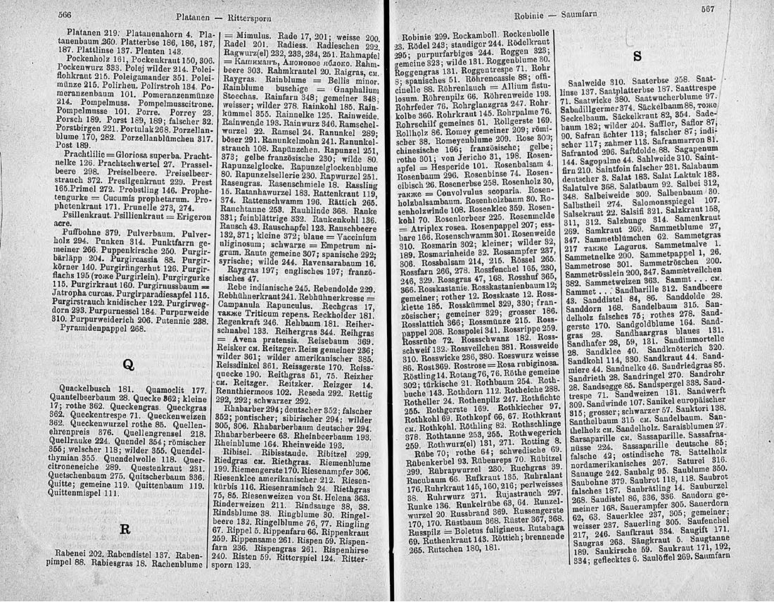 Скан страницы 298 книги «Ботанический Словарь»