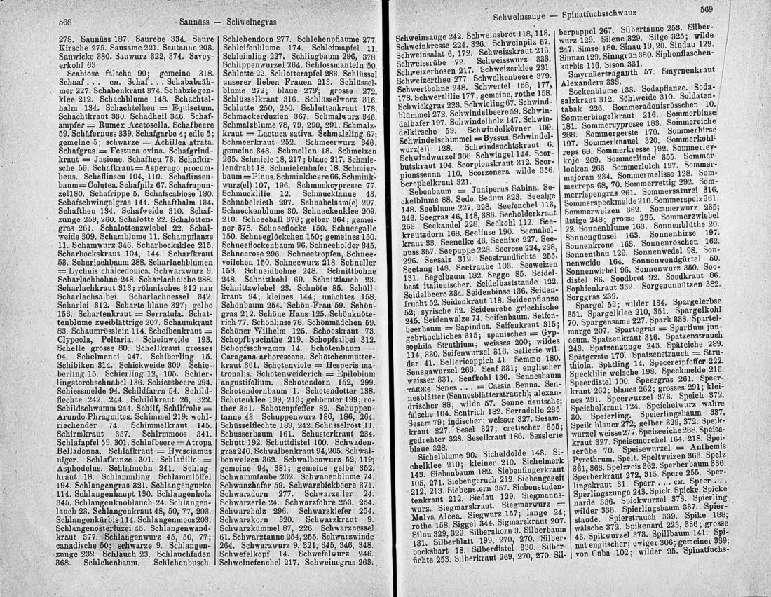 Скан страницы 299 книги «Ботанический Словарь»
