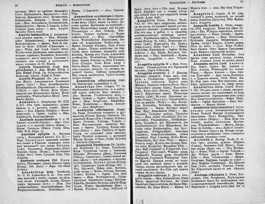 Скан страницы 30 книги «Ботанический Словарь»