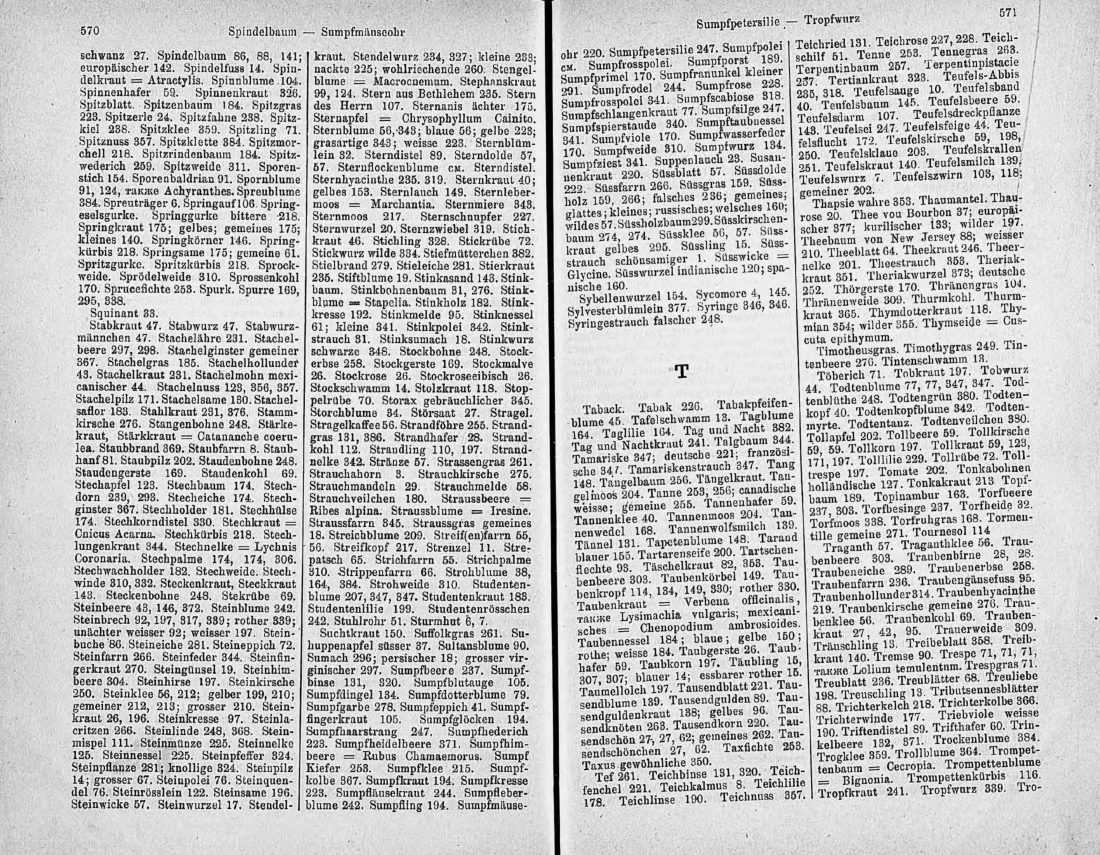 Скан страницы 300 книги «Ботанический Словарь»
