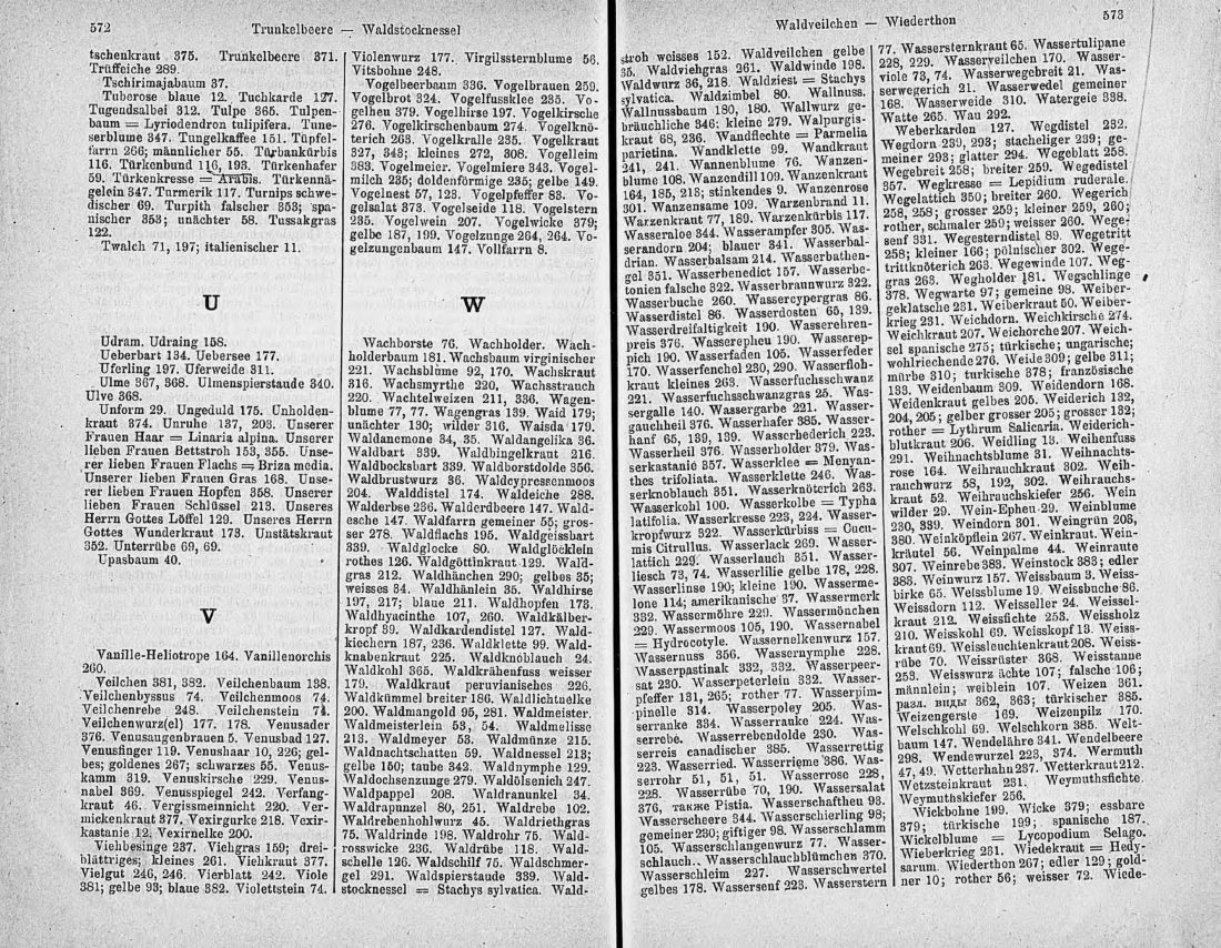 Скан страницы 301 книги «Ботанический Словарь»