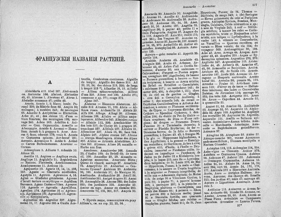 Скан страницы 303 книги «Ботанический Словарь»