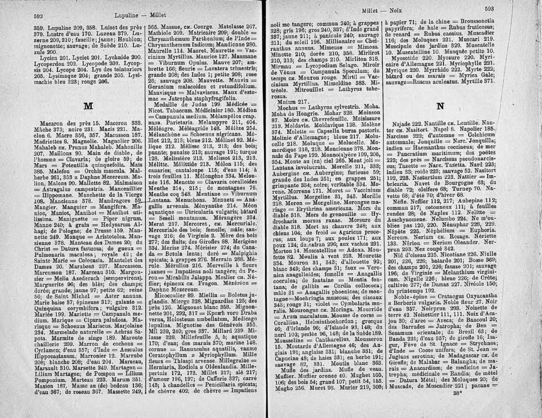 Скан страницы 311 книги «Ботанический Словарь»