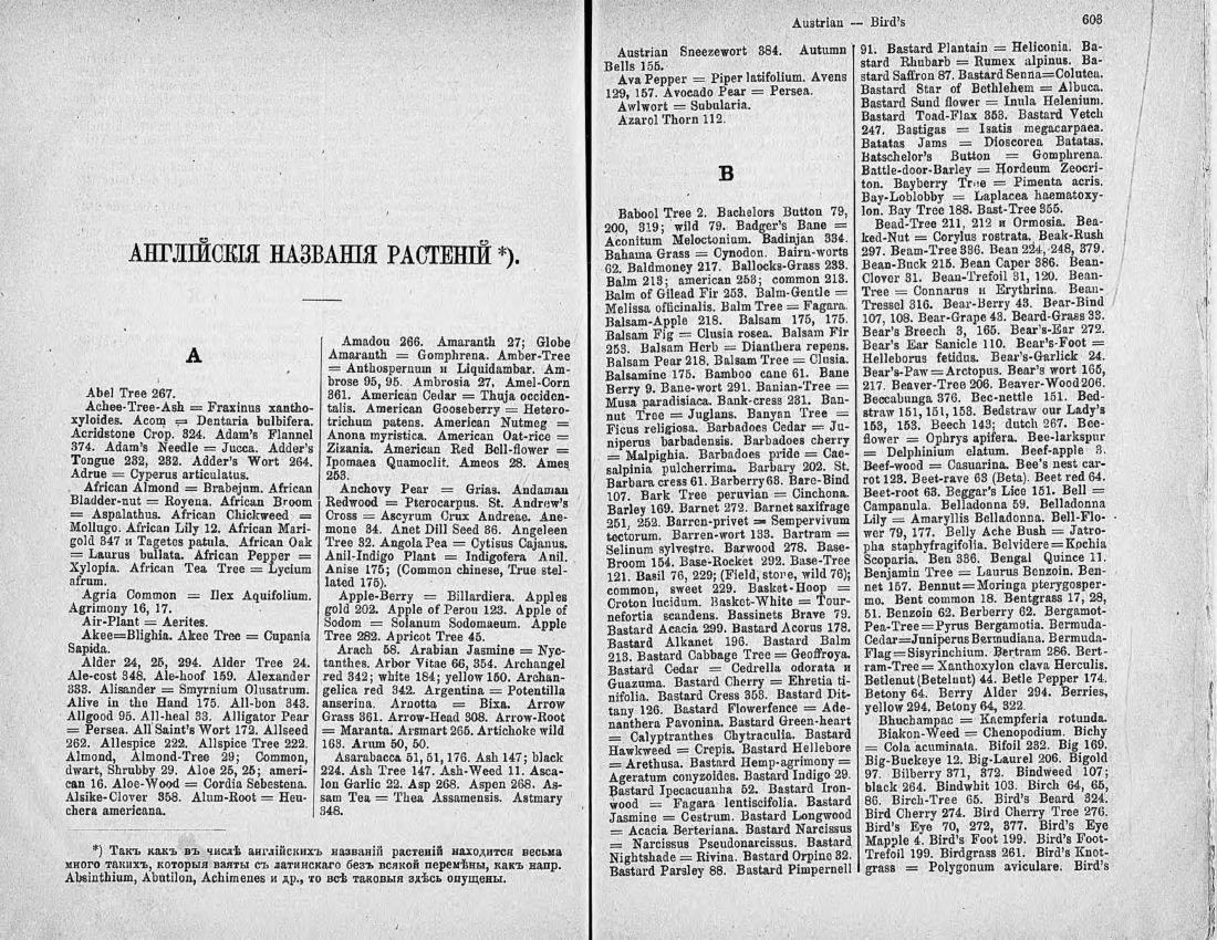 Скан страницы 316 книги «Ботанический Словарь»