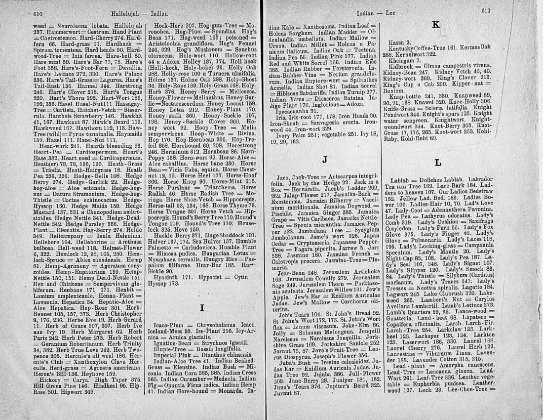 Скан страницы 320 книги «Ботанический Словарь»
