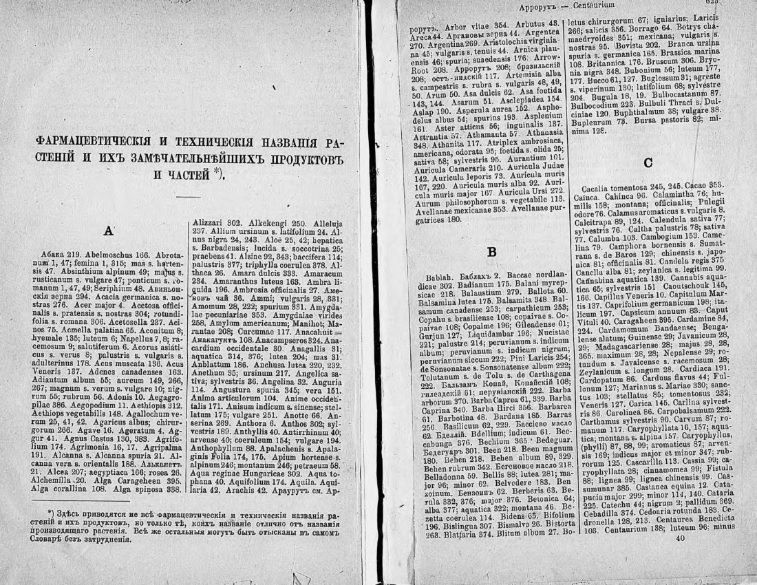 Скан страницы 326 книги «Ботанический Словарь»