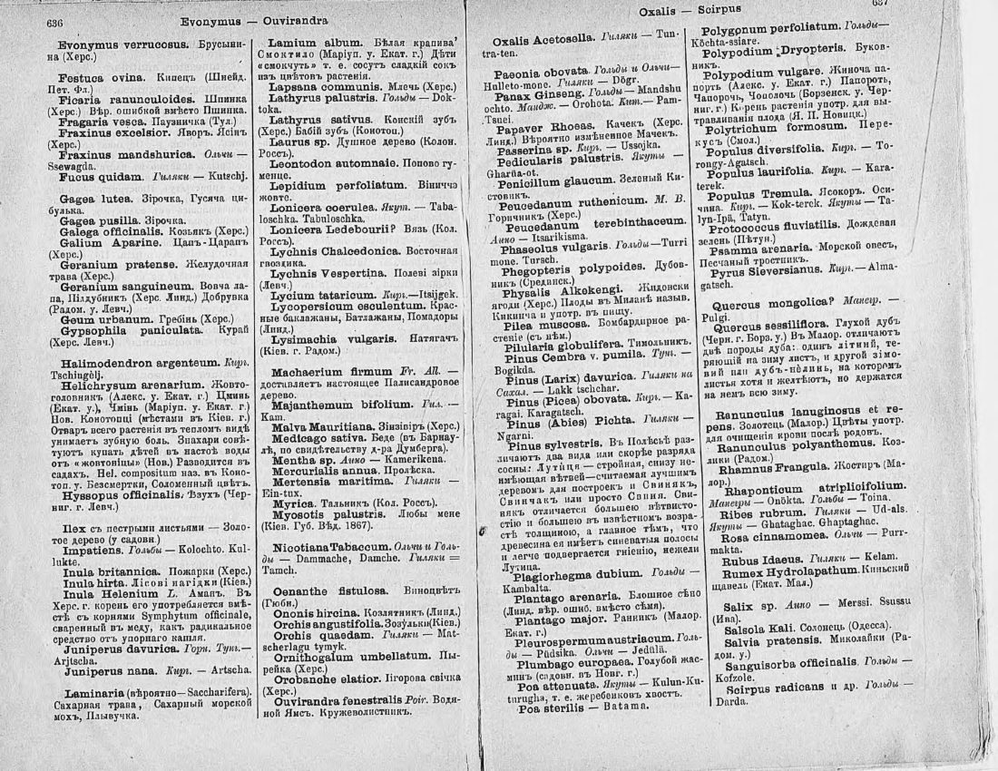 Скан страницы 333 книги «Ботанический Словарь»