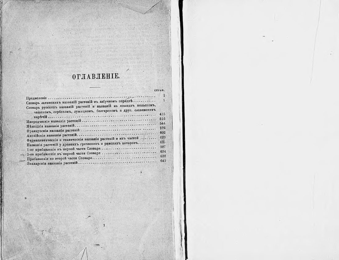 Скан страницы 338 книги «Ботанический Словарь»