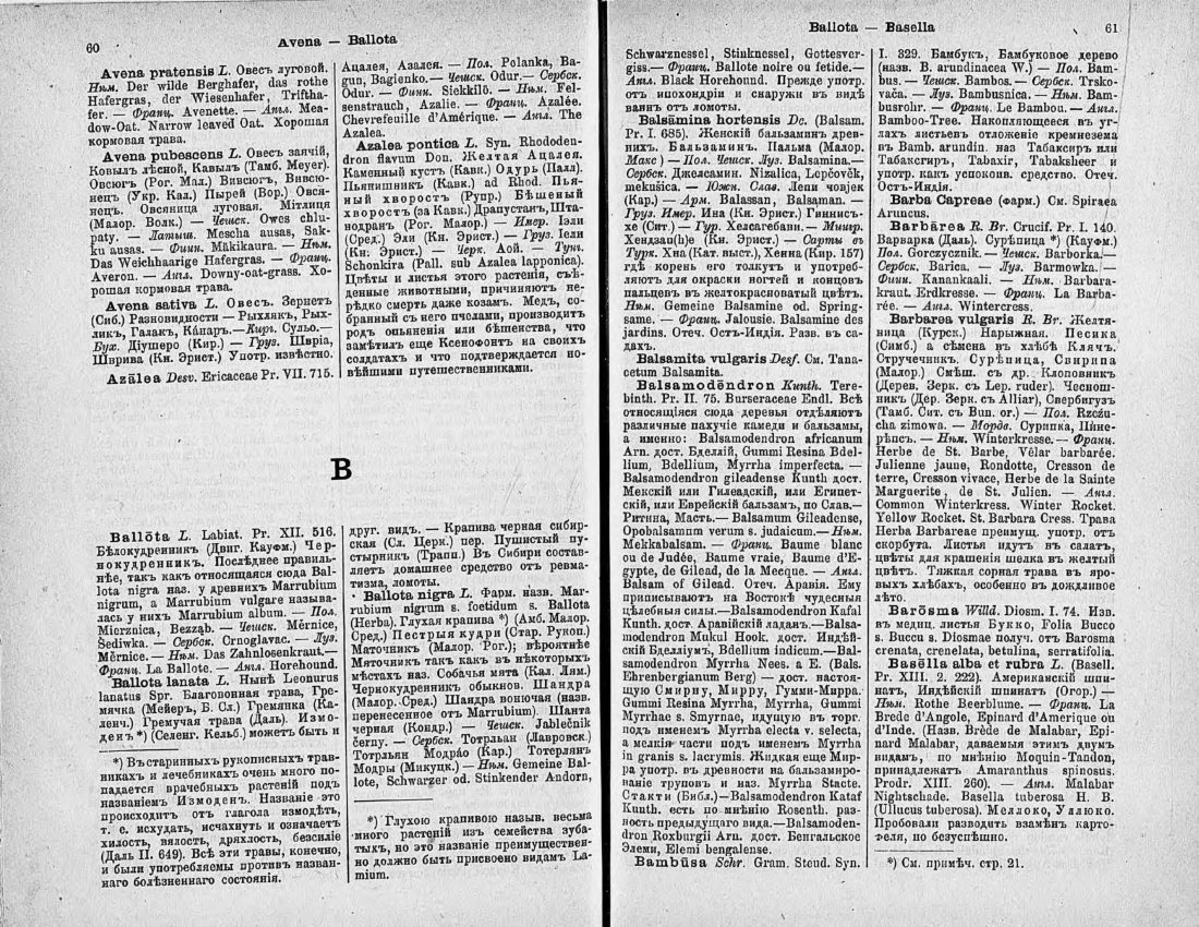 Скан страницы 45 книги «Ботанический Словарь»