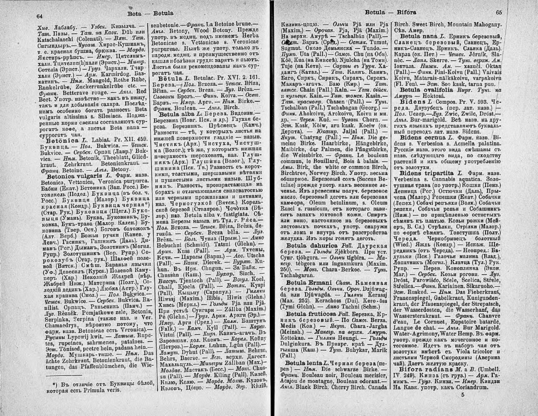 Скан страницы 47 книги «Ботанический Словарь»