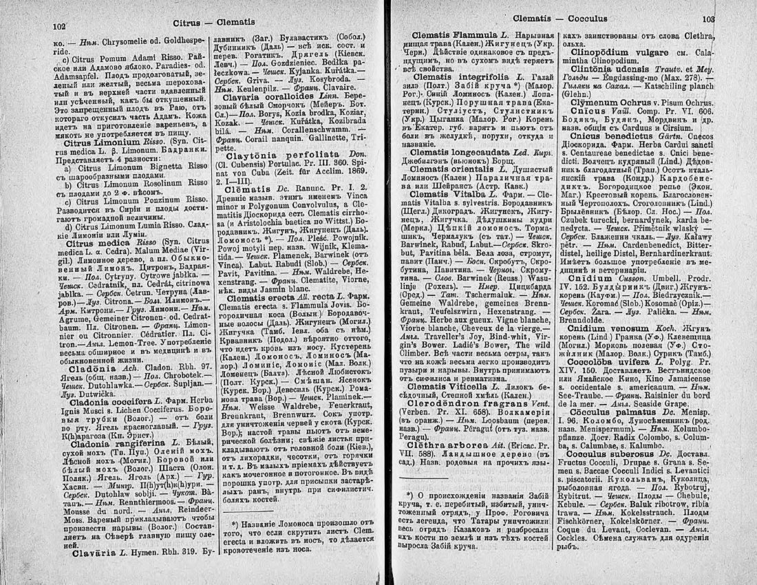 Скан страницы 66 книги «Ботанический Словарь»